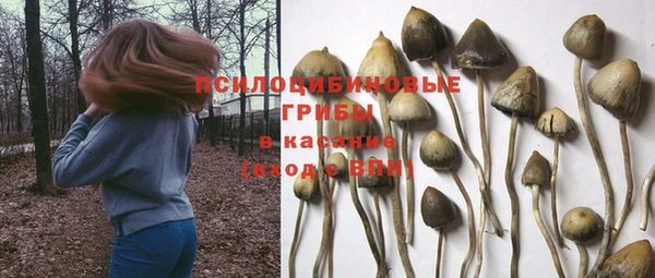 мет Бикин