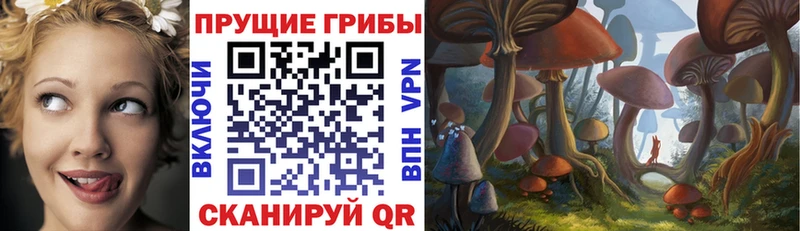 наркотики  Красноармейск  Галлюциногенные грибы мухоморы 